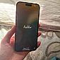 IPhone 16 256GB Image
